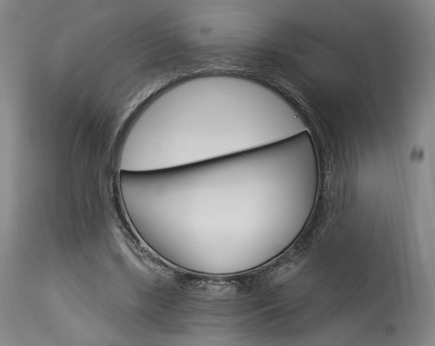 X0000114080443200910051004