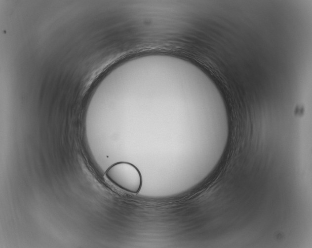 X0000114080444200910051004