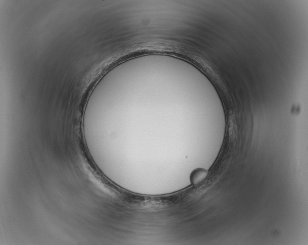 X0000114080445200910051004