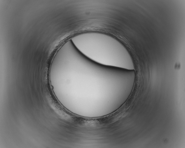 X0000114080446200910051004