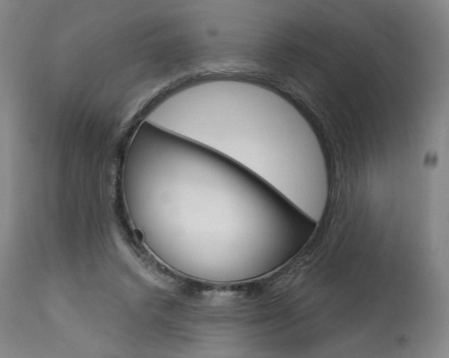 X0000114080448200910051004