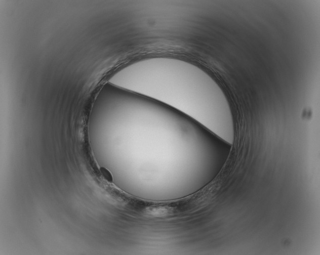 X0000114080452200910051004