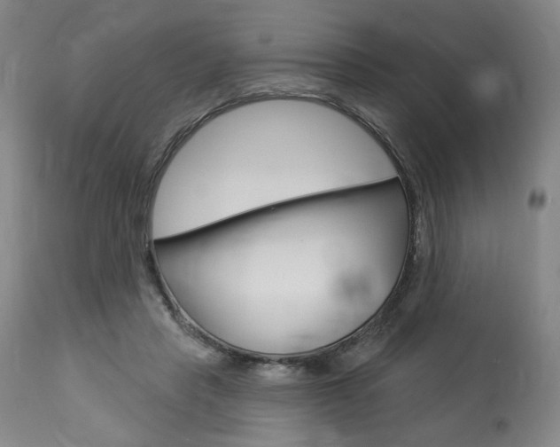 X0000114080453200910051004