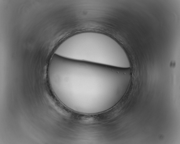 X0000114080454200910051004