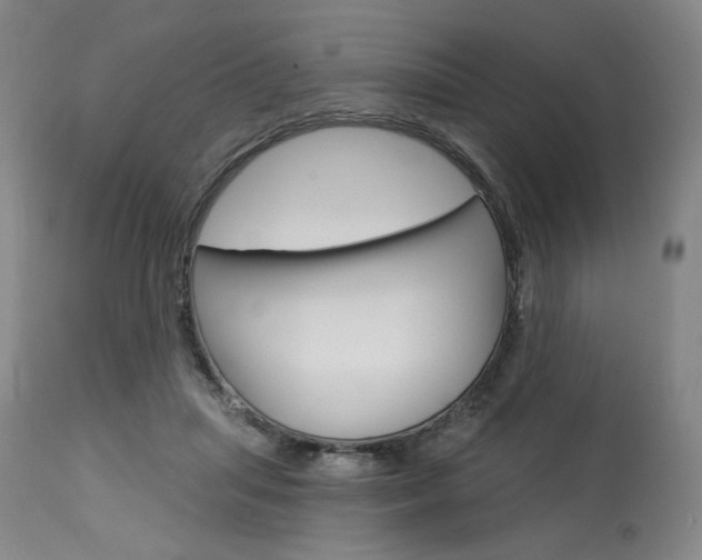 X0000114080455200910051004