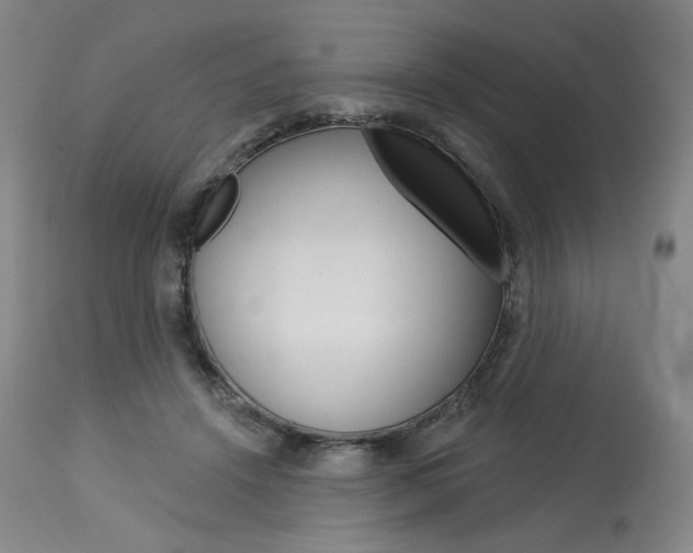 X0000114080456200910051004