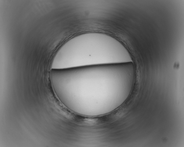 X0000114080457200910051004