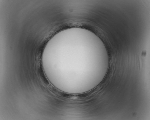 X0000114080460200910051004