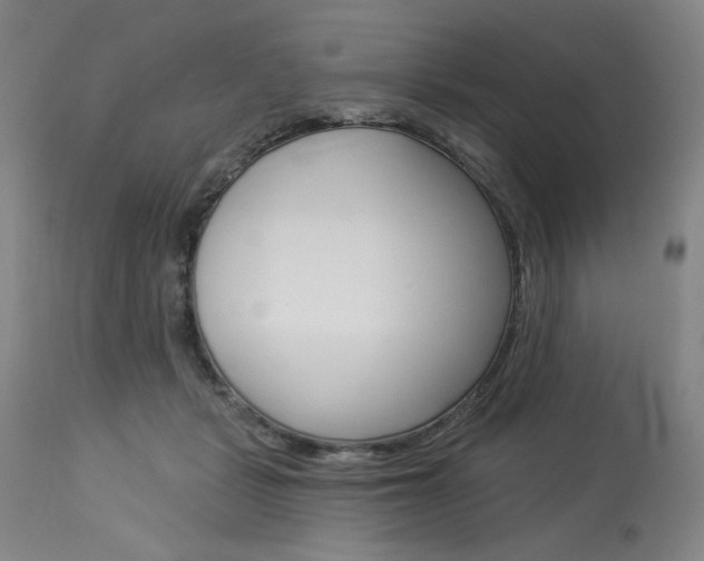 X0000114080461200910051004