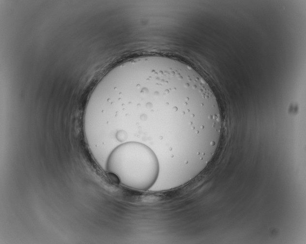 X0000114080462200910051004
