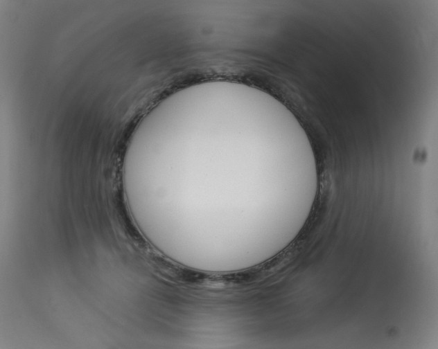 X0000114080464200910051004