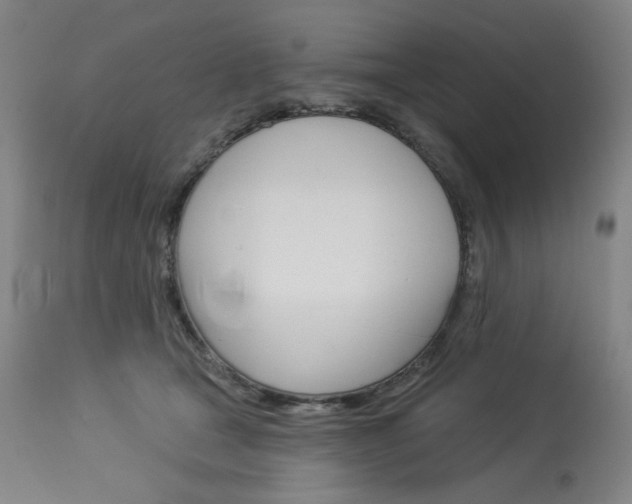 X0000114080465200910051004