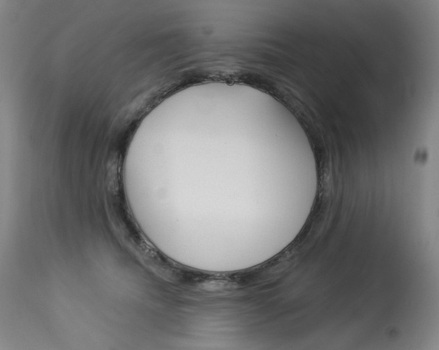 X0000114080468200910051004