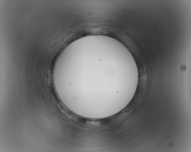 X0000114080469200910051004