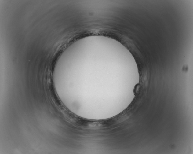 X0000114080470200910051004