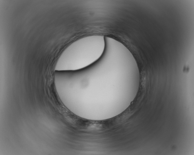 X0000114080471200910051004