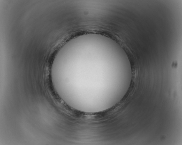 X0000114080472200910051004