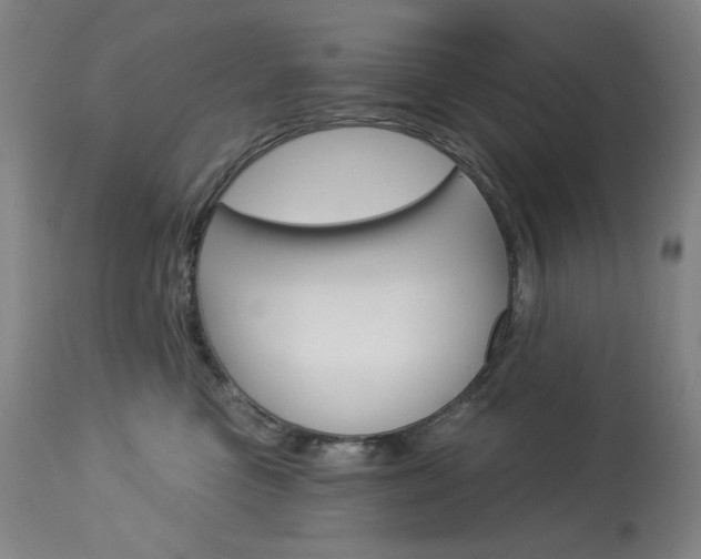 X0000114080473200910051004