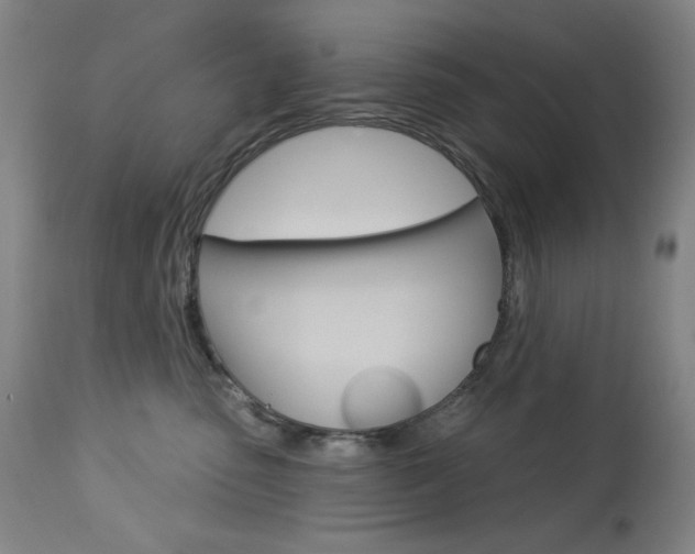X0000114080475200910051004