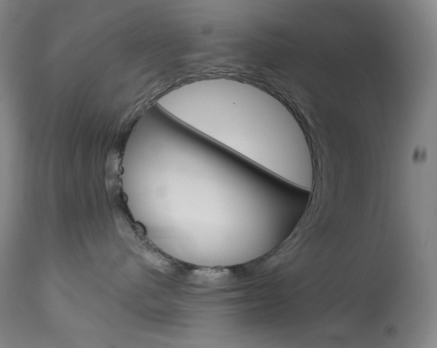 X0000114080480200910051004