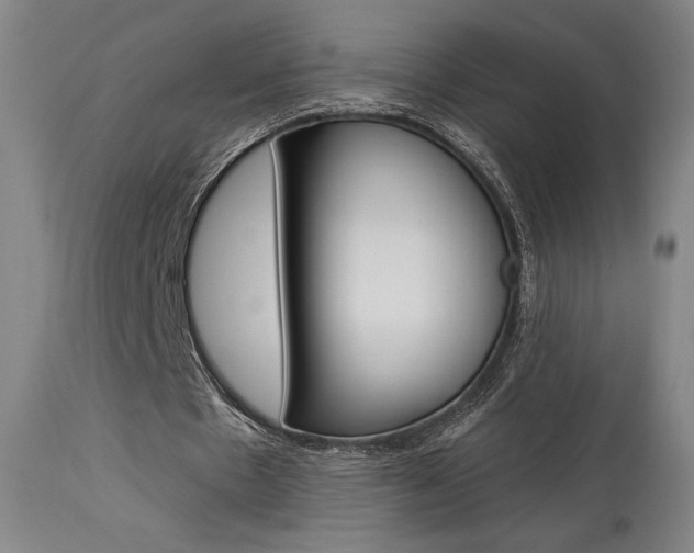 X0000114080481200910051004