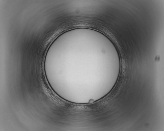X0000114080482200910051004