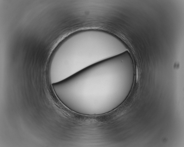 X0000114080483200910051004