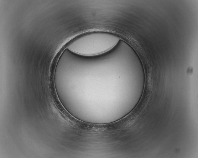 X0000114080484200910051004