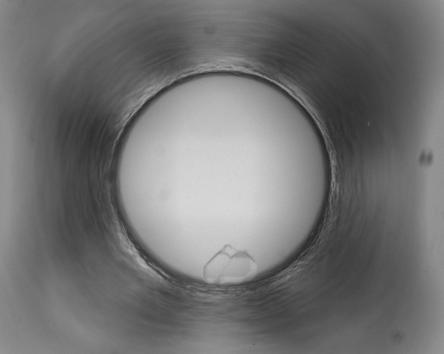 X0000114080485200910051004