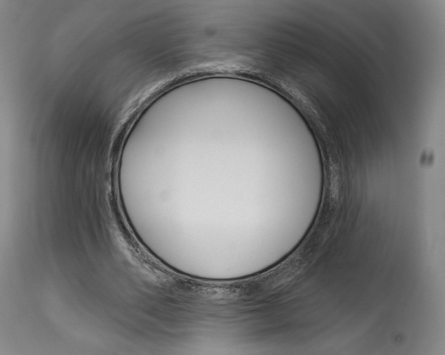 X0000114080486200910051004