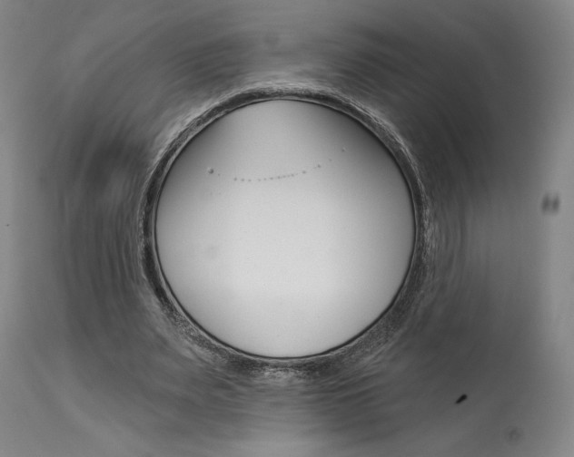 X0000114080487200910051004