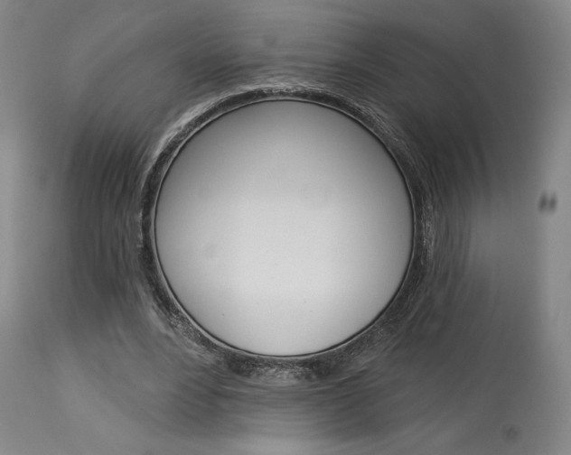 X0000114080488200910051004