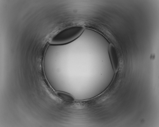 X0000114080489200910051004