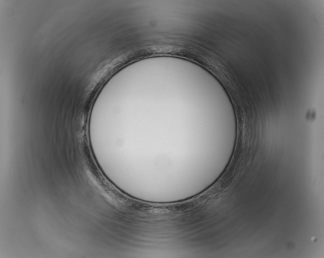 X0000114080490200910051004