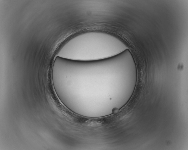 X0000114080491200910051004