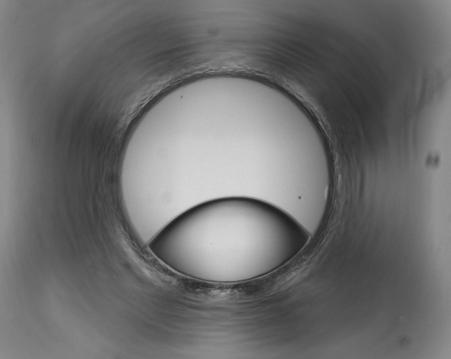 X0000114080493200910051004
