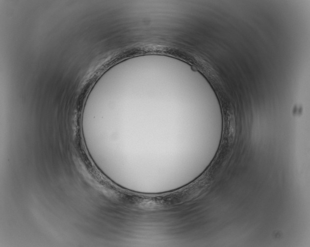 X0000114080494200910051004