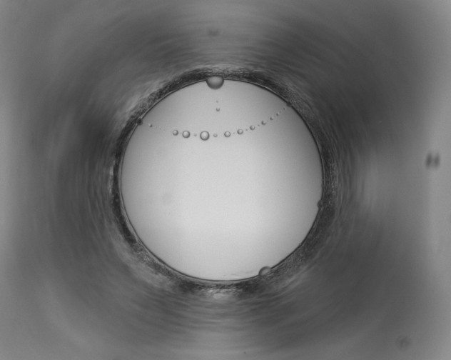 X0000114080495200910051004