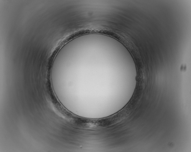 X0000114080496200910051004