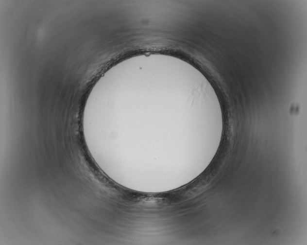 X0000114080497200910051004
