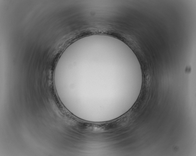 X0000114080498200910051004