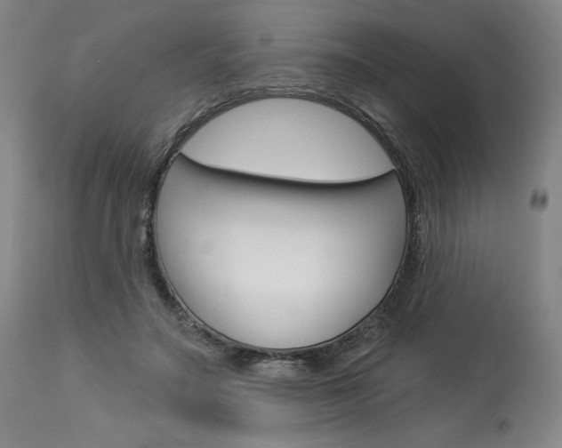 X0000114080499200910051004