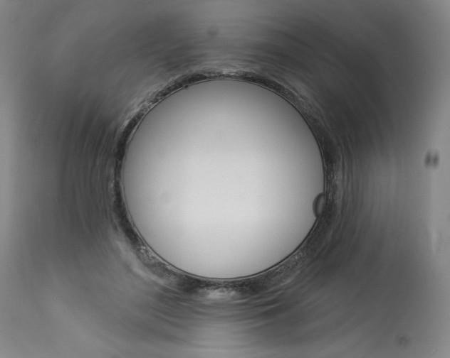 X0000114080500200910051004