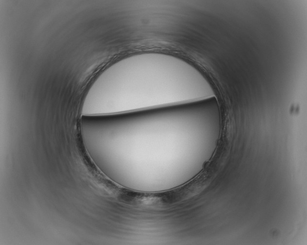 X0000114080501200910051004