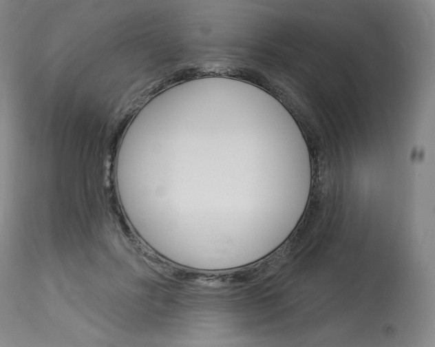 X0000114080502200910051003