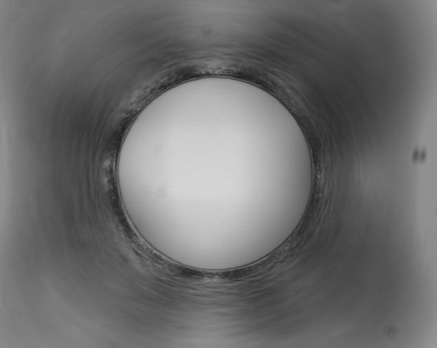 X0000114080503200910051003