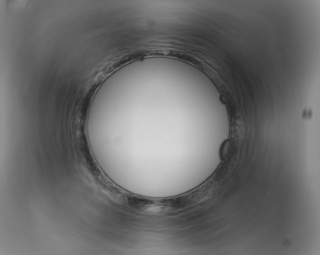 X0000114080504200910051003