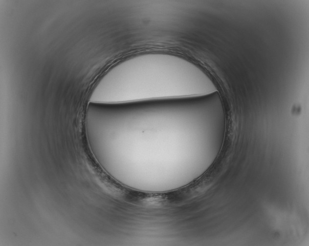 X0000114080505200910051003