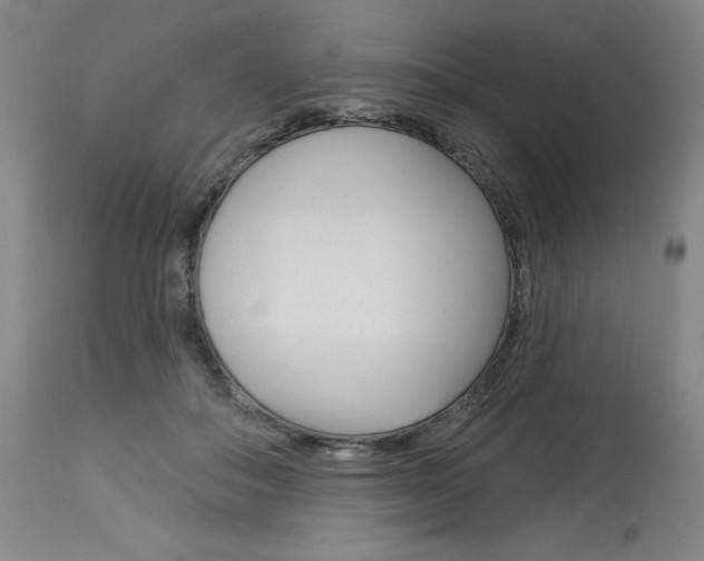 X0000114080506200910051003