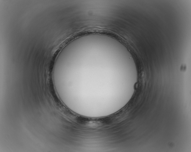 X0000114080508200910051003
